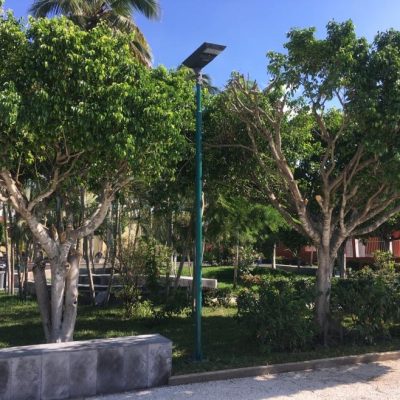 Luminaria S5A de 50 W